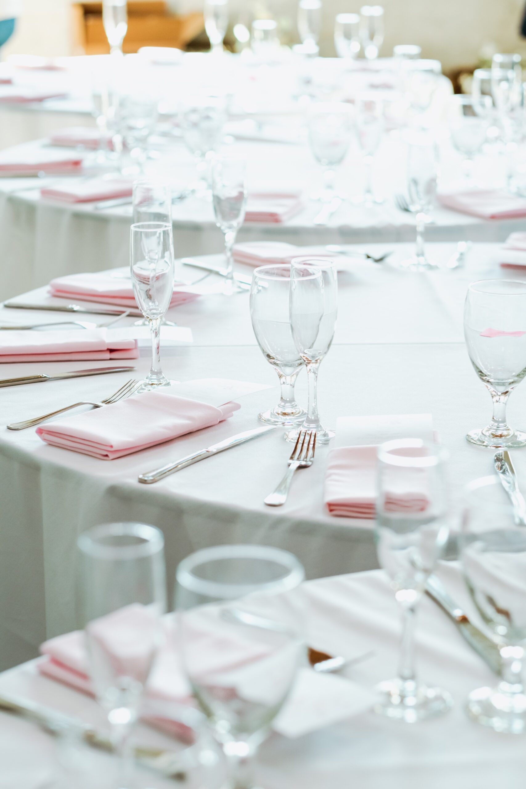 home-care-21 metro detroit party rentals